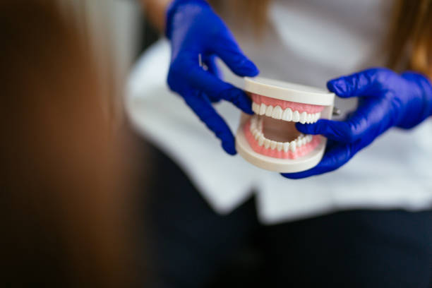 Reliable Brass Castle, NJ Holistic Dental Care Services Solutions